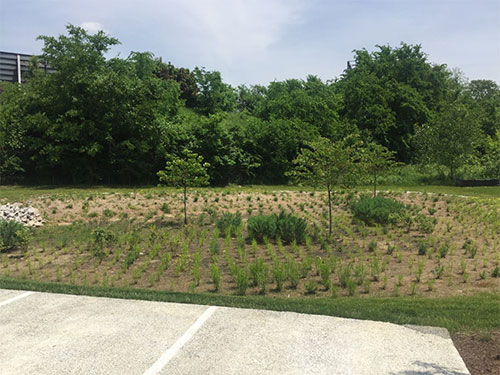 Bio-retention pond