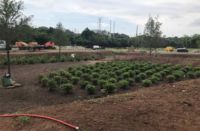 Landscaping underway