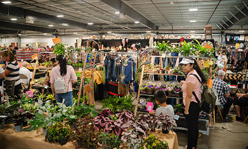 Flea Market booths with plants